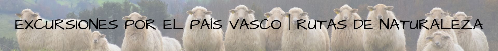Excursiones por el País Vasco