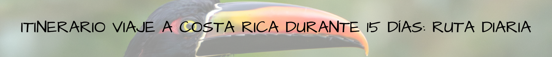 Itinerario viaje a Costa Rica durante 15 días: Ruta diaria