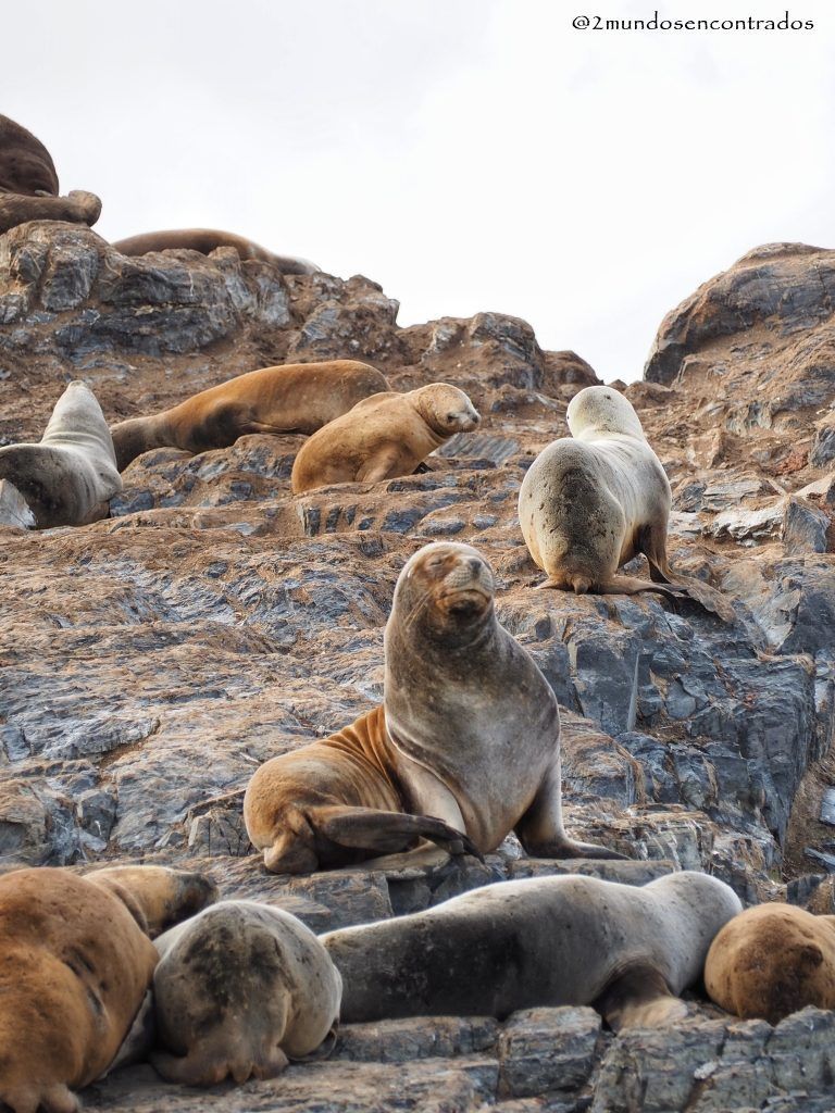 Canal Beagle, Itinerario por Patagonia