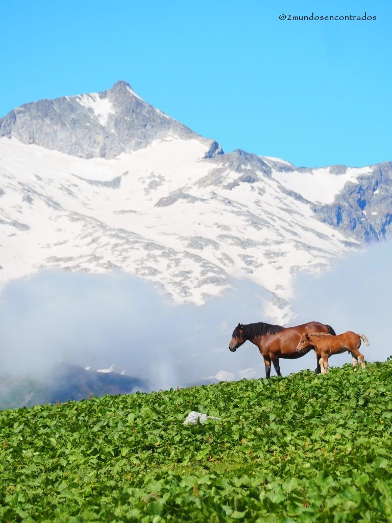 Còth de Baretja, Itinerario por Val d'Aran