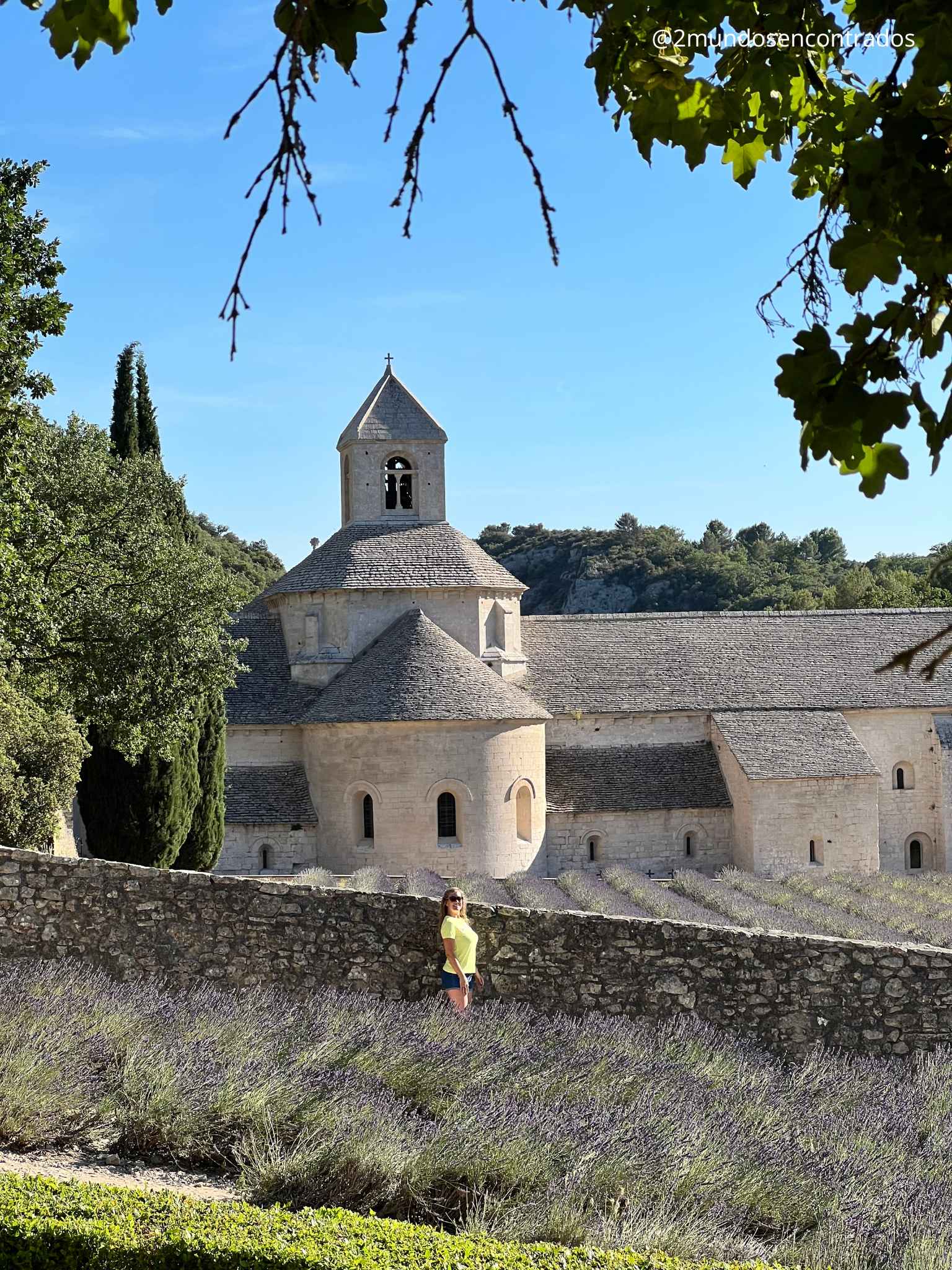Vista de la histórica Abadía de Sénanque en la región de Provenza, Francia, rodeada de campos de lavanda púrpura en flor. Eva está parada detrás de un muro de piedra baja, mirando hacia la abadía medieval de piedra caliza. Árboles verdes flanquean el sitio bajo un cielo azul despejado. La toma está enmarcada por ramas de árboles en primer plano.