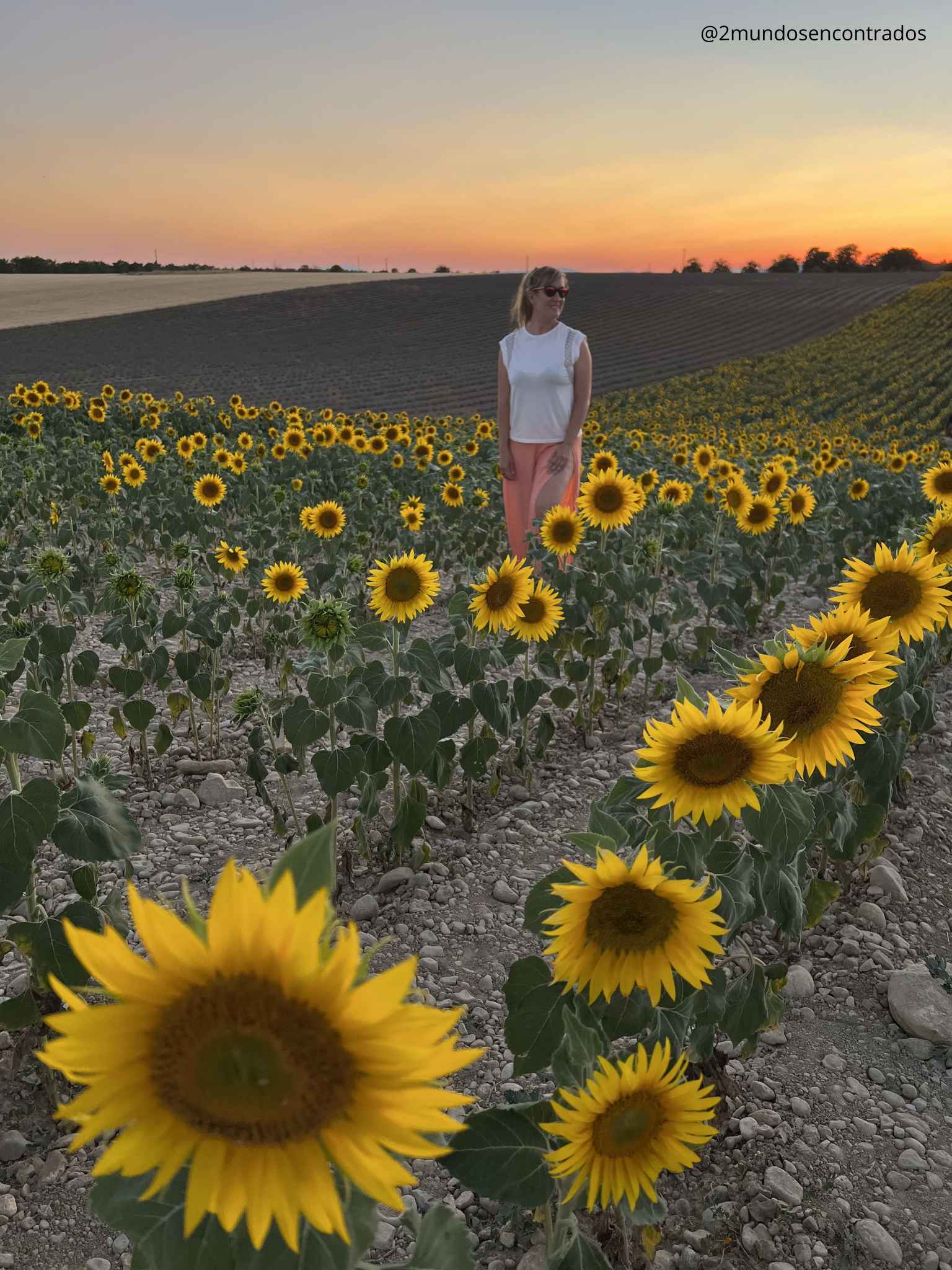 Eva entre un campo de girasoles en la Provenza francesa al atardecer, con el cielo teñido de tonos anaranjados.