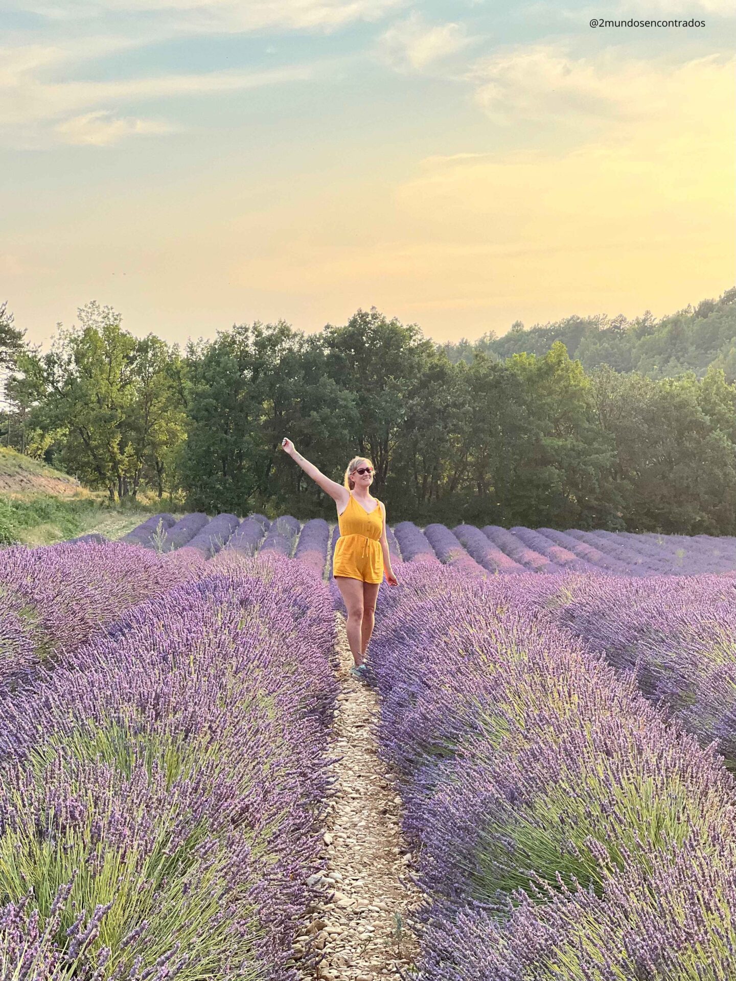Qué ver en la Provenza en 11 días, campos de lavanda