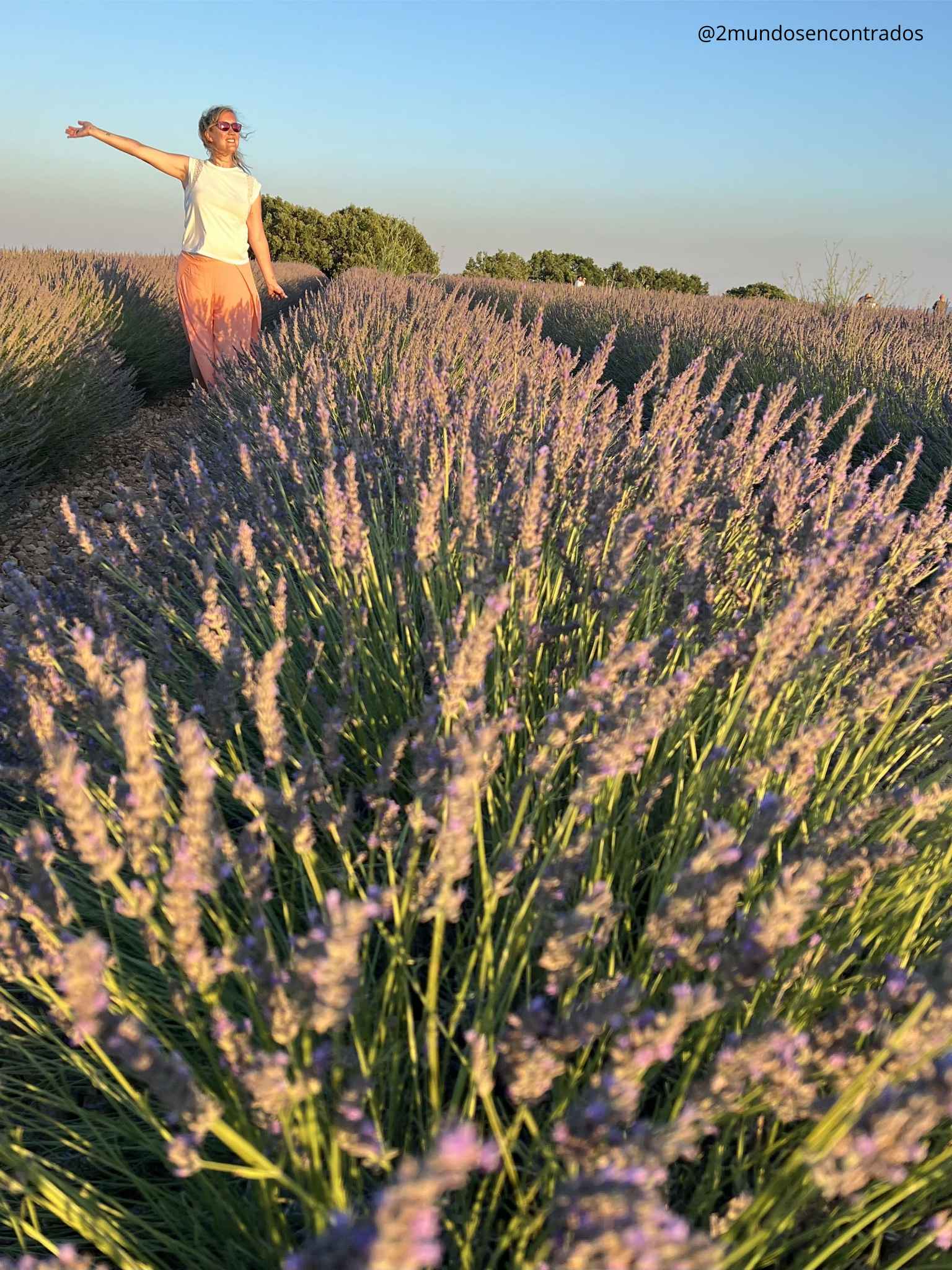 Eva disfrutando de los campos de lavanda de Valensole, en la Provenza, rodeada de flores en plena floración durante la hora dorada.