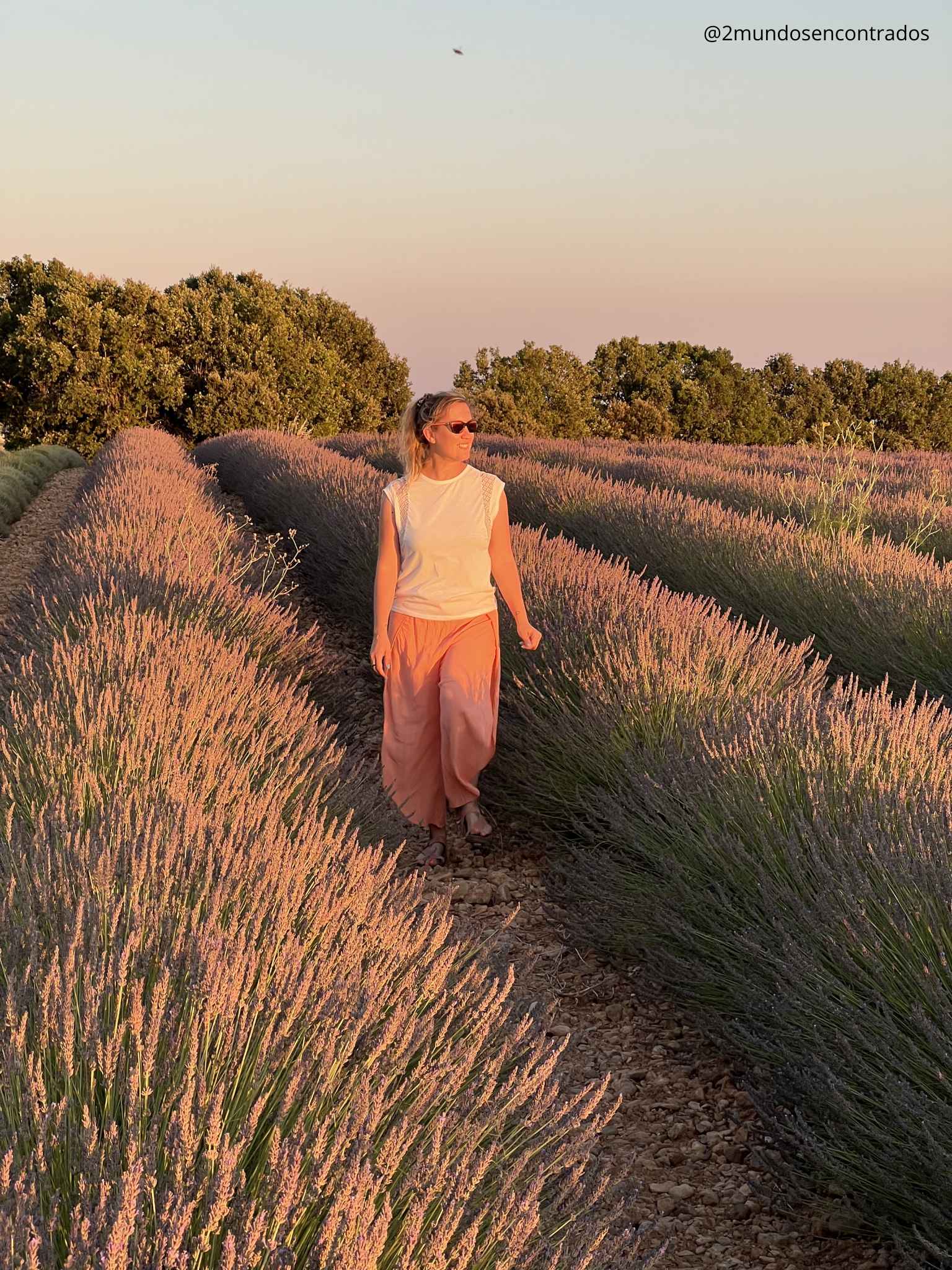 Eva caminando entre los campos de lavanda de Valensole, en la Provenza francesa, durante la hora dorada del atardecer.