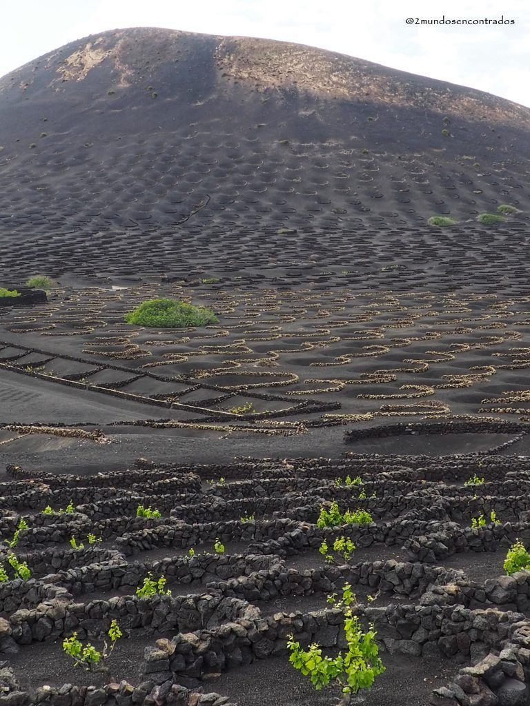 La Geria, ruta por Lanzarote