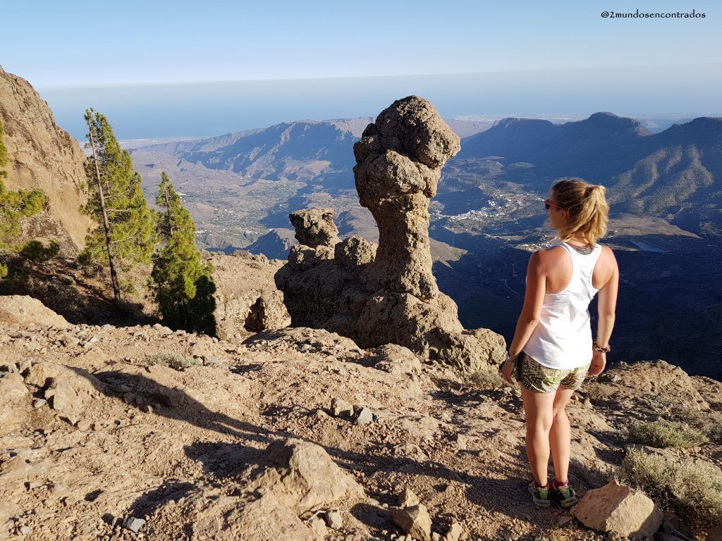 Champiñón de Gran Canaria