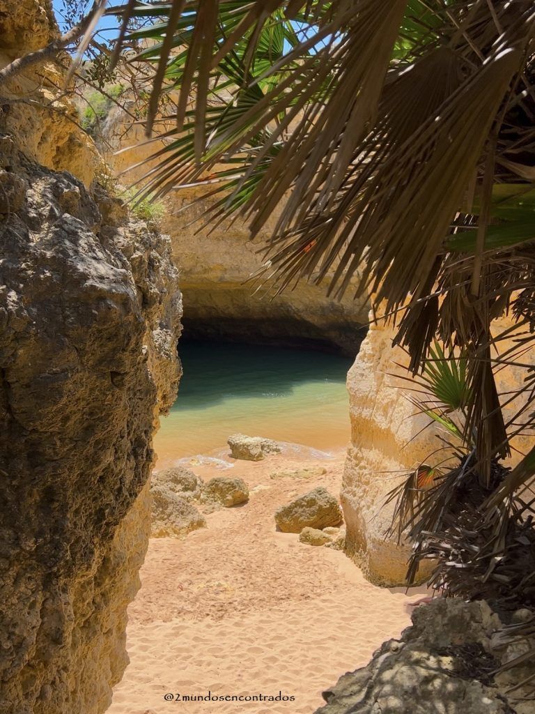 Praia do Ninho de Andorinha