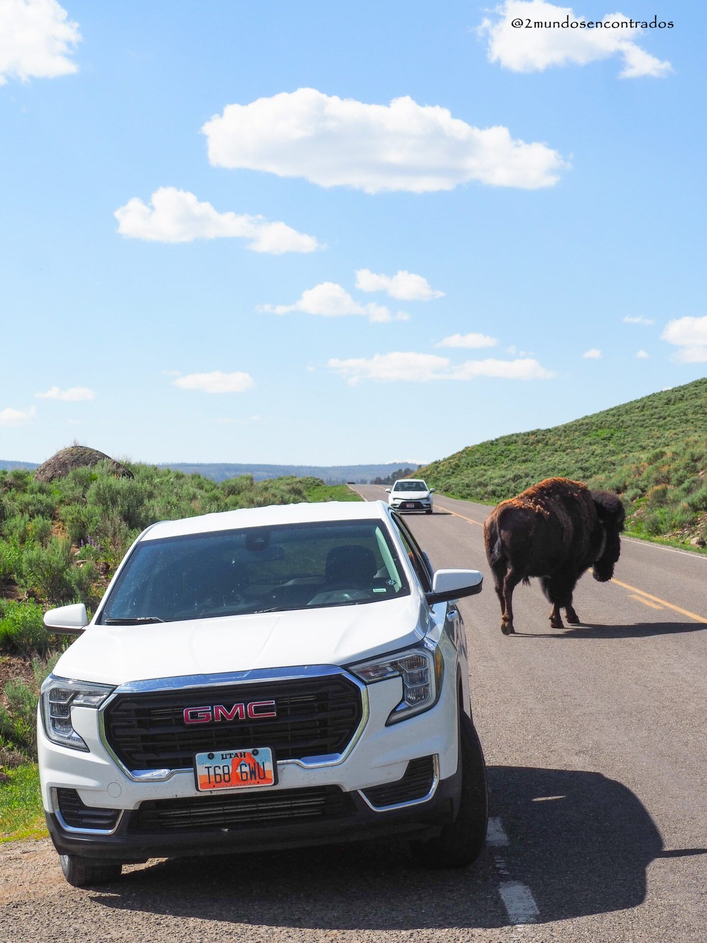 Yellowstone