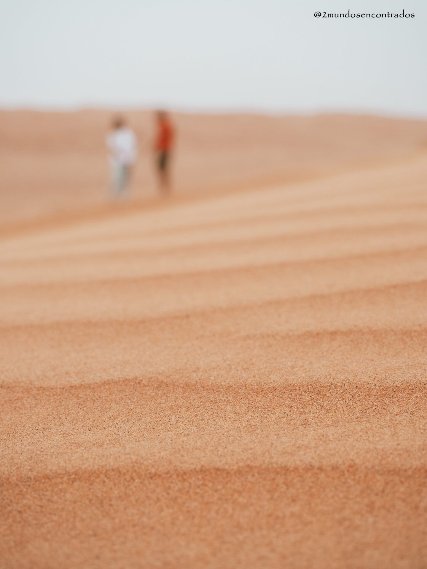 Wahiba Sands