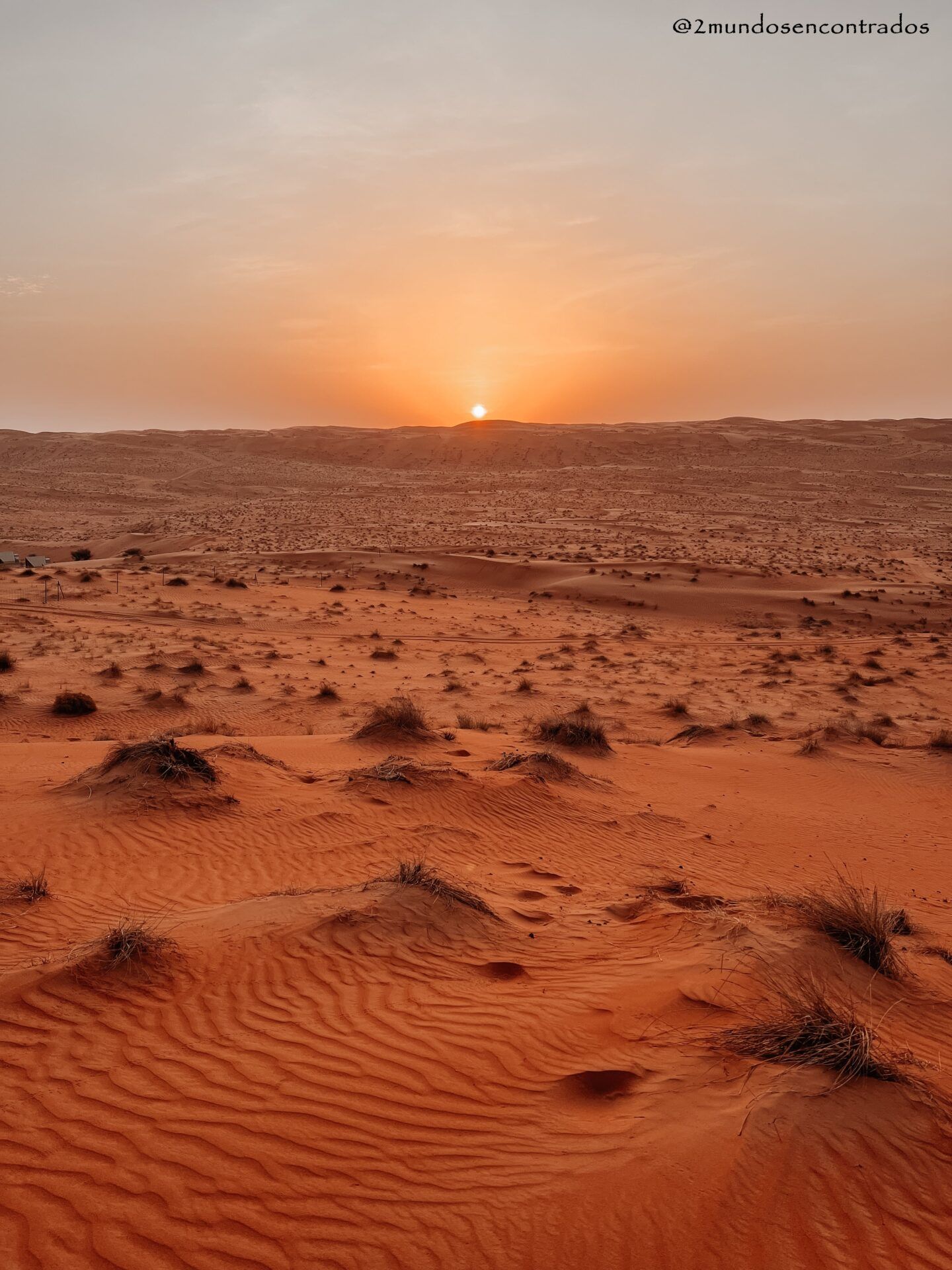 Wahiba Sands