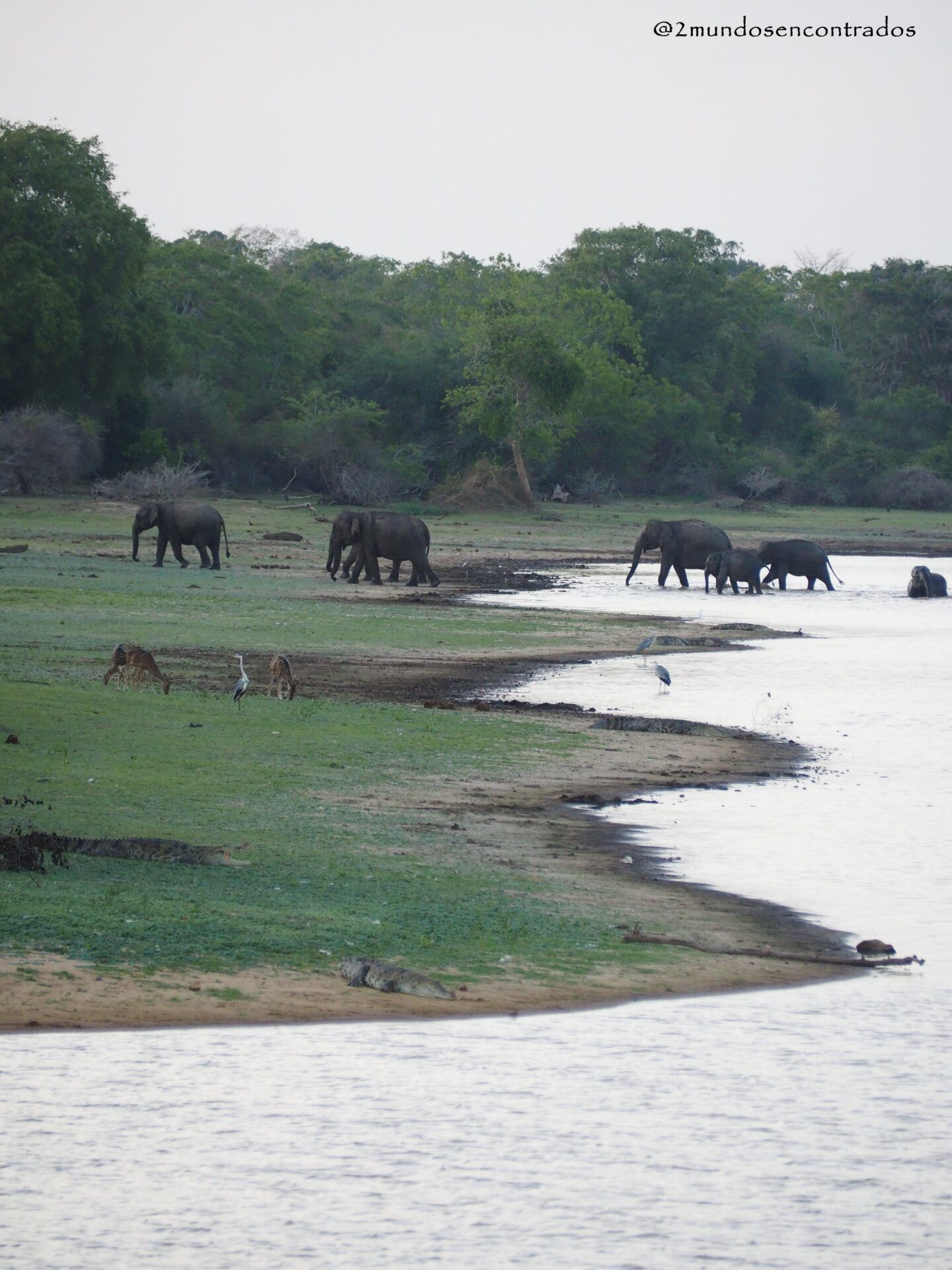 Wilpattu NP, Sri Lanka