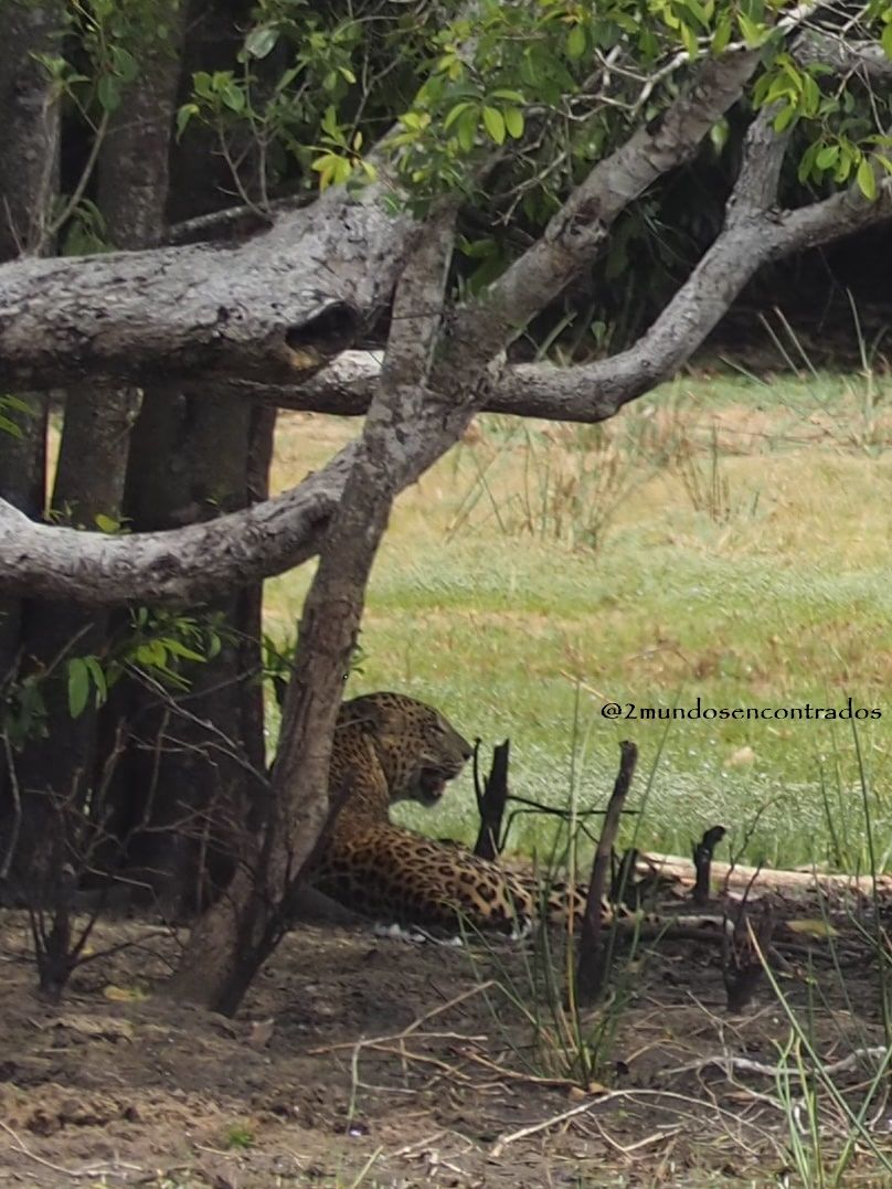 Wilpattu NP, Ruta por Sri Lanka