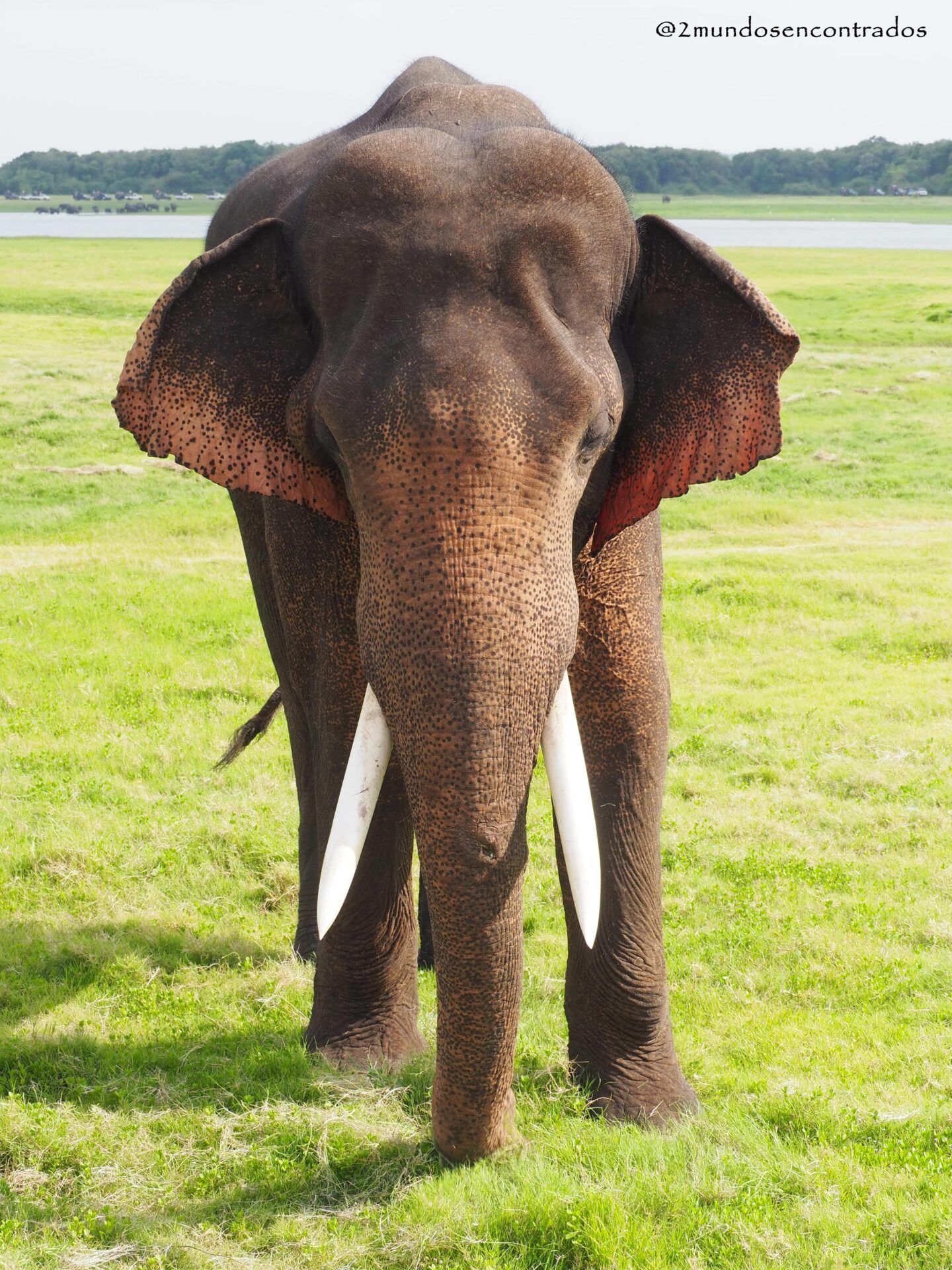 Ruta por Sri Lanka