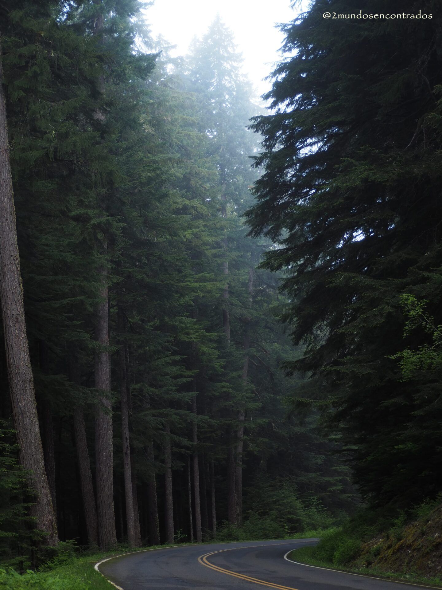 Olympic National Park
