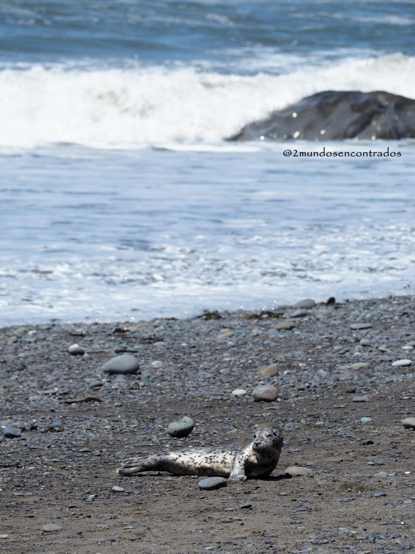 Rialto Beach