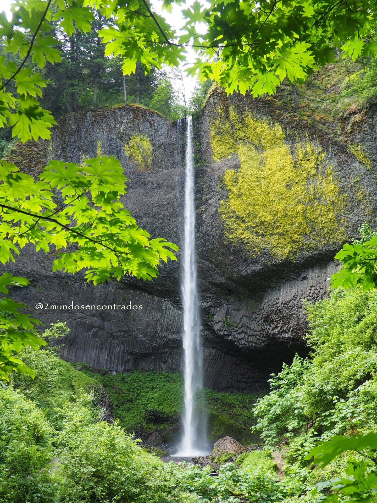 Latourell Falls
