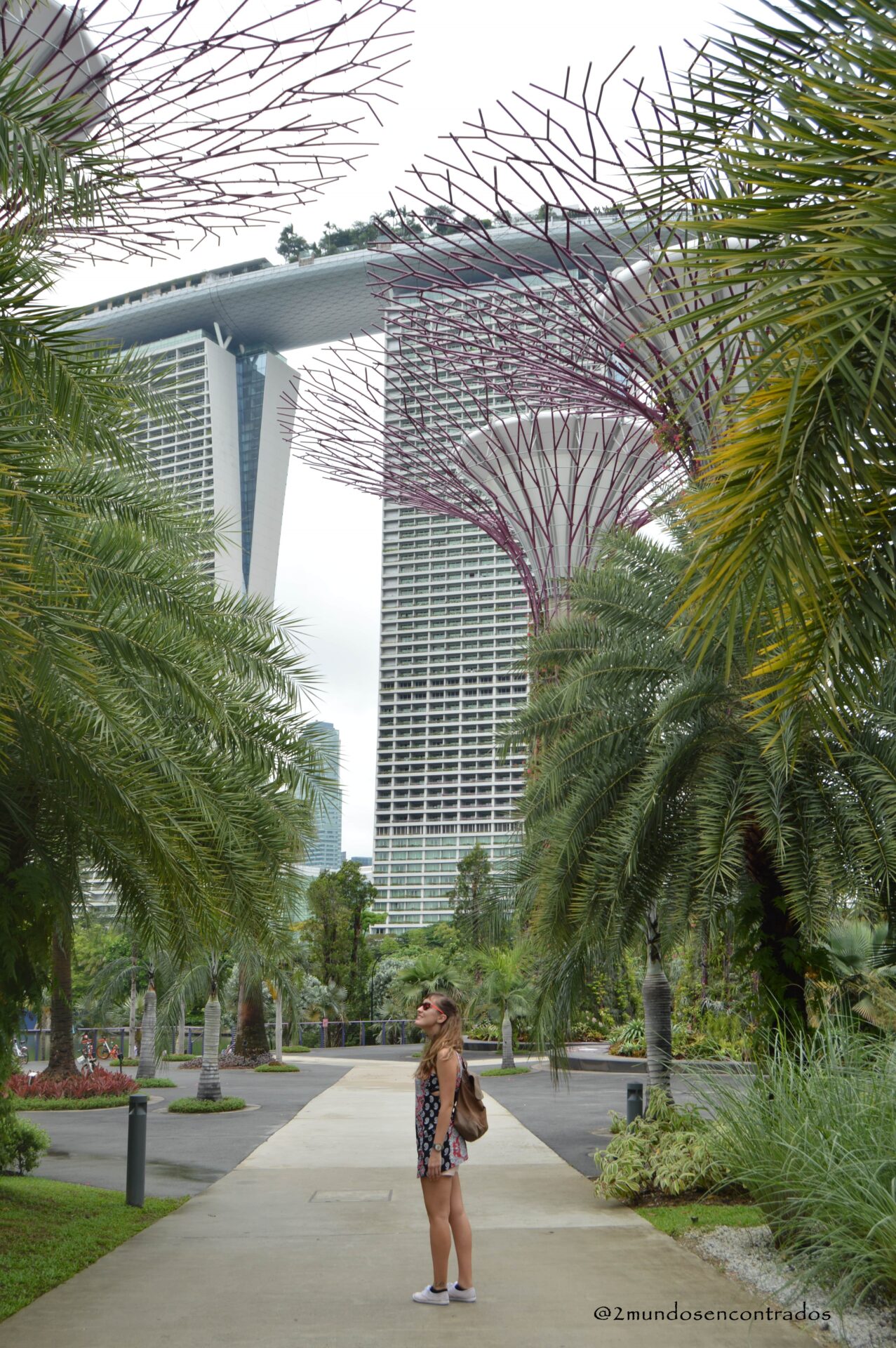 Naturaleza de Singapur en 4 días