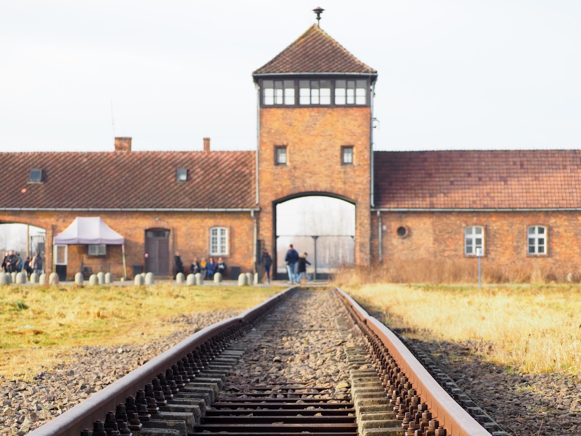 Visitar Auschwitz-Birkenau y Minas de Sal de Wieliczka | Cracovia
