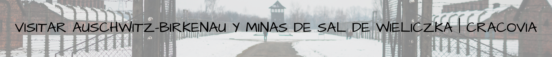 Visitar Auschwitz-Birkenau y Minas de Sal de Wieliczka