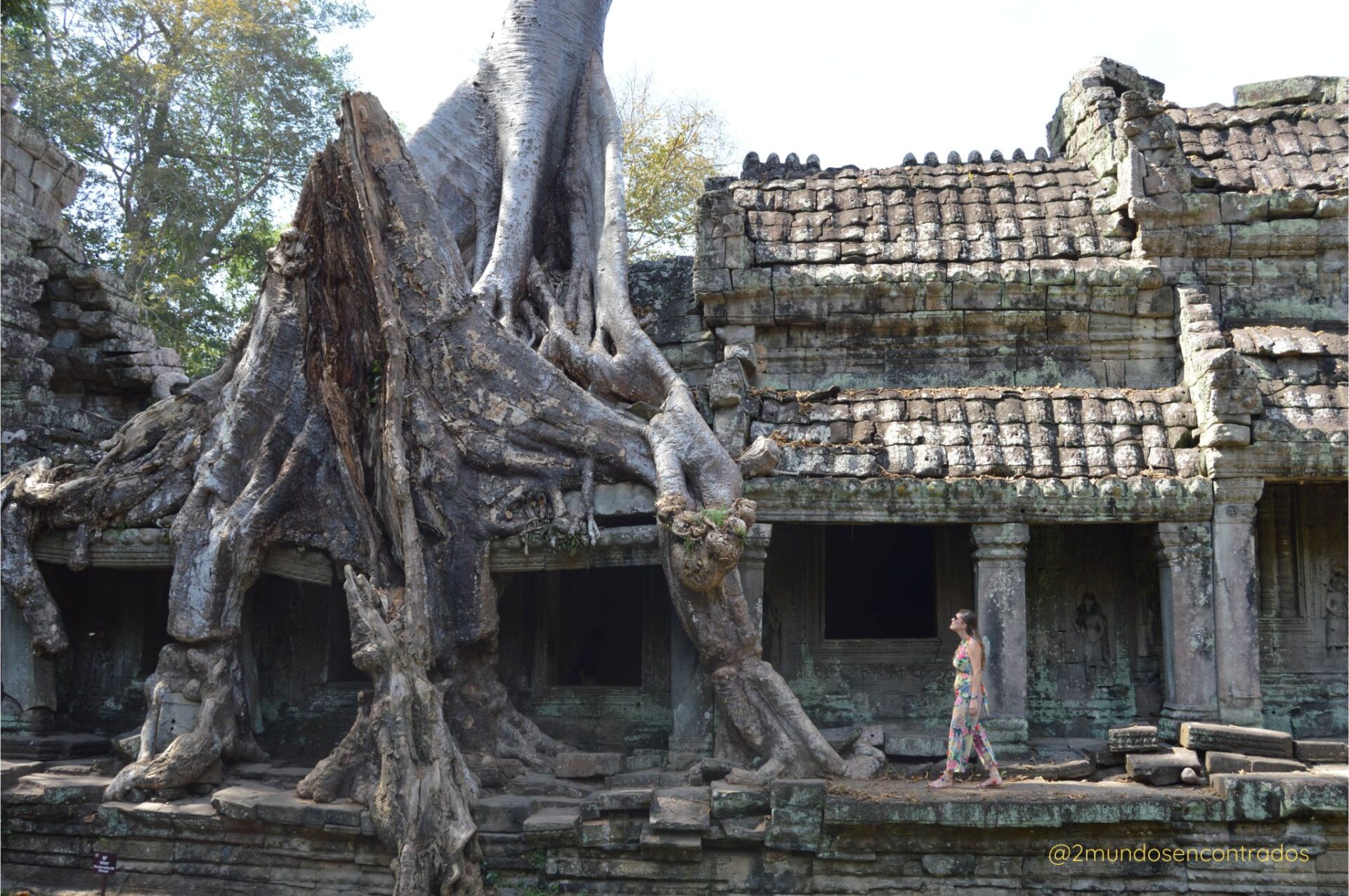 Templo de Ta Prohm en Angkor, famoso por la película Tomb Raider