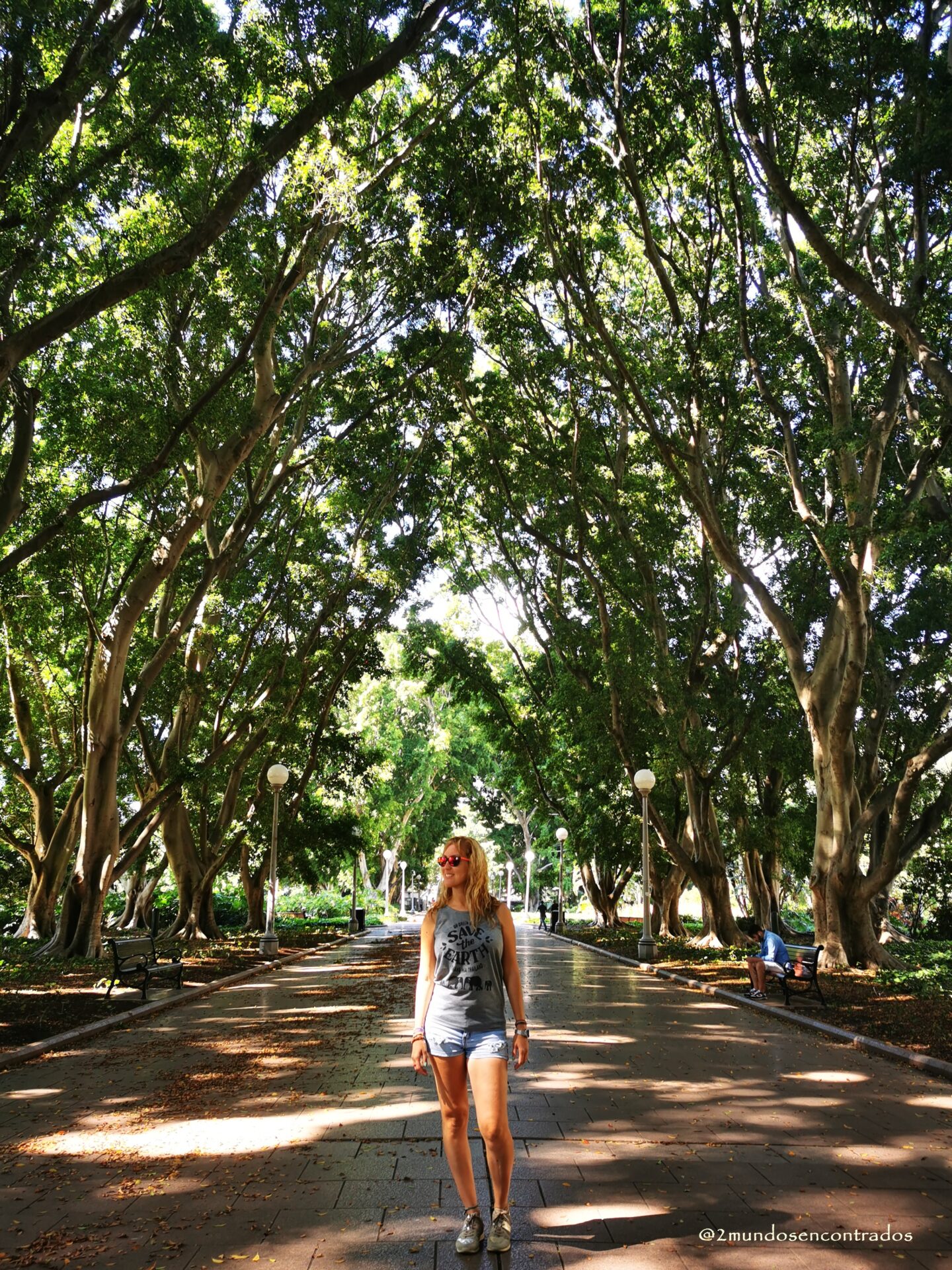 Parques verdes de Sídney en el centro de la ciudad, descanso natural en una ruta de 4 días