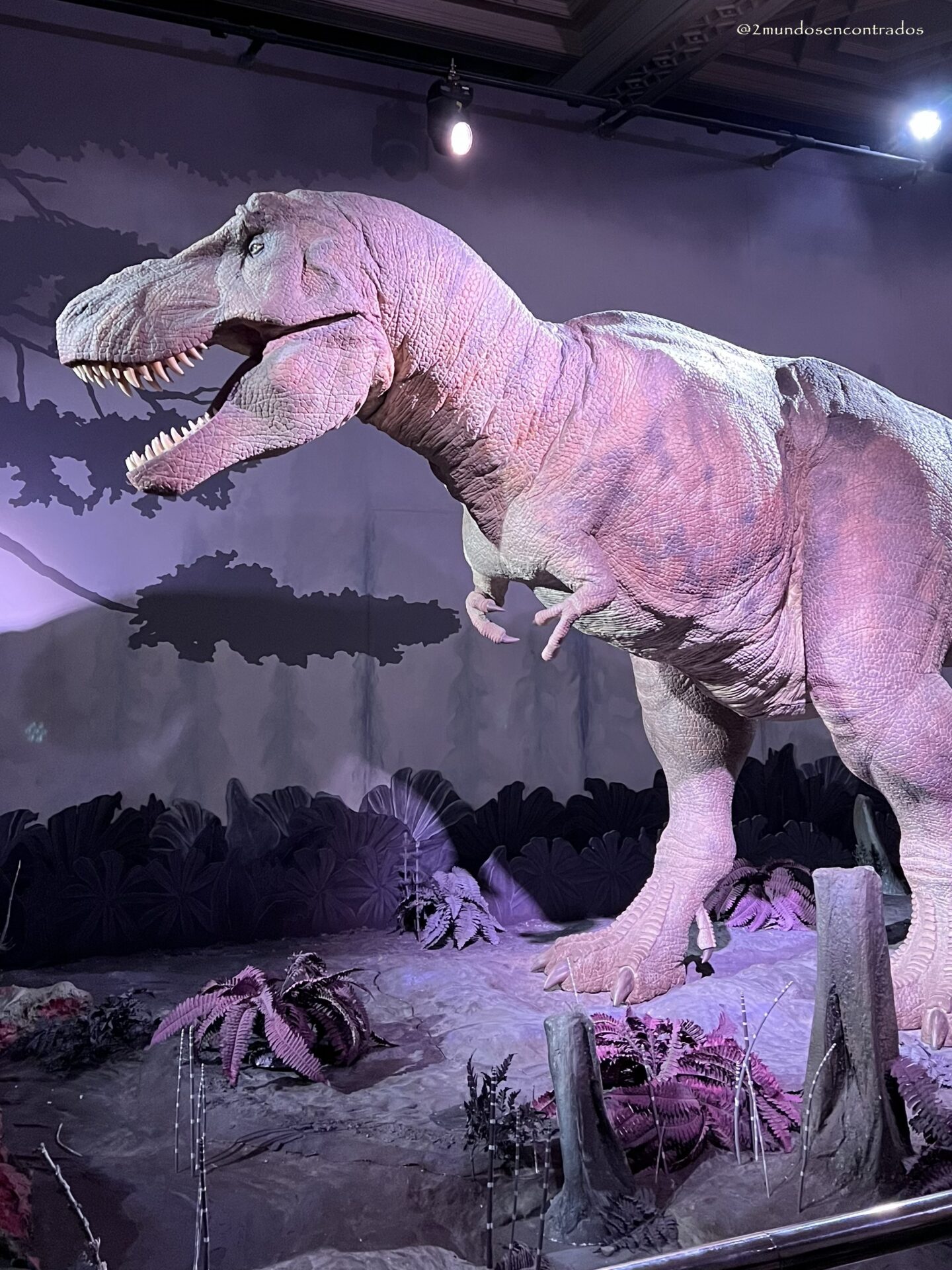 ExposiciĂłn de fĂłsiles y dinosaurios en el Museo de Historia Natural de Londres.