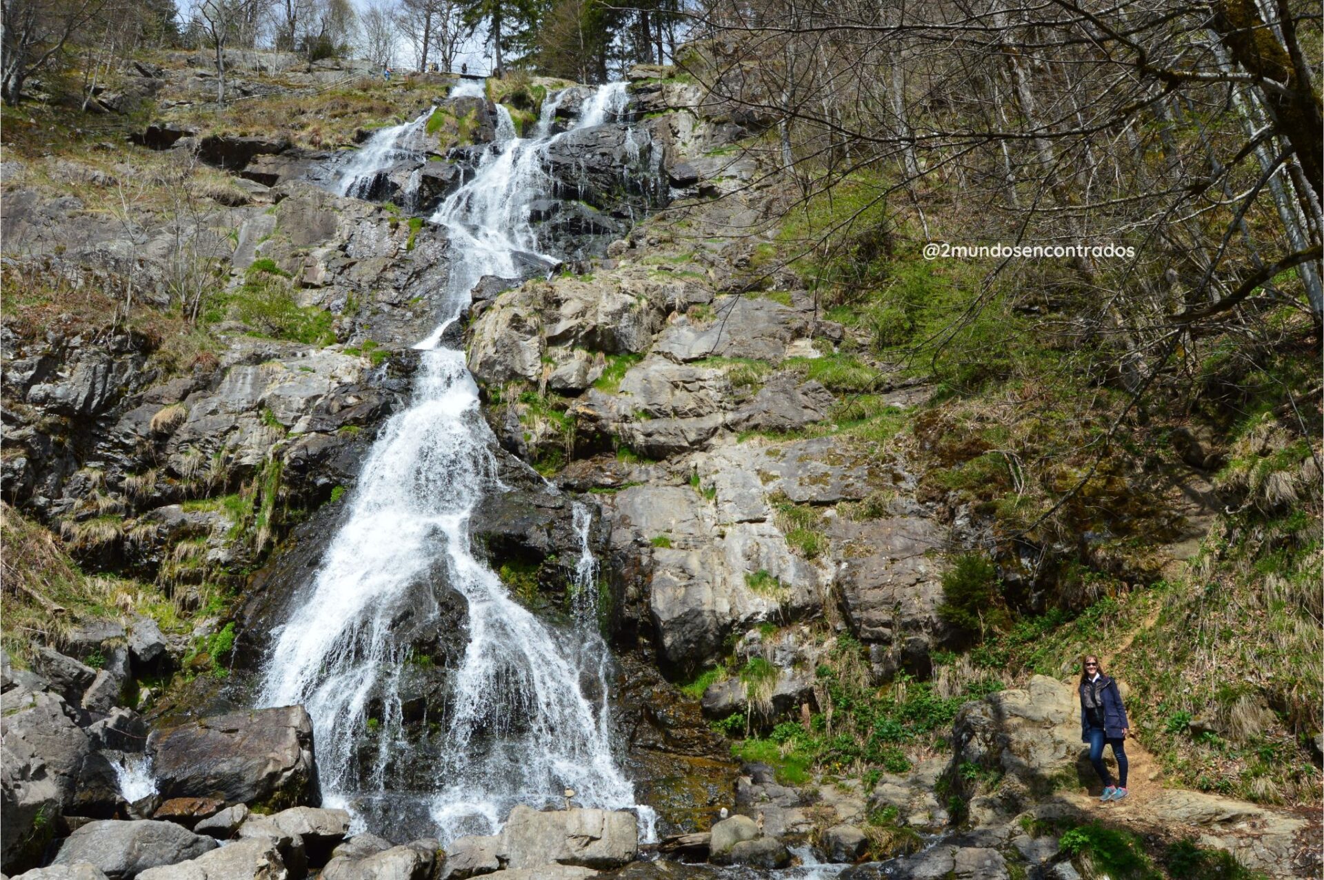 Cascadas de Triberg
