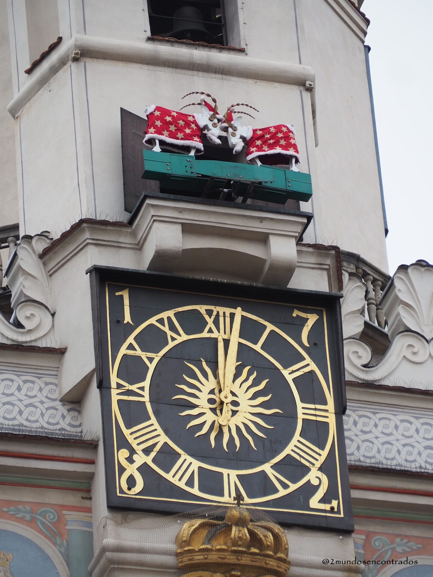 Cabras de Poznan