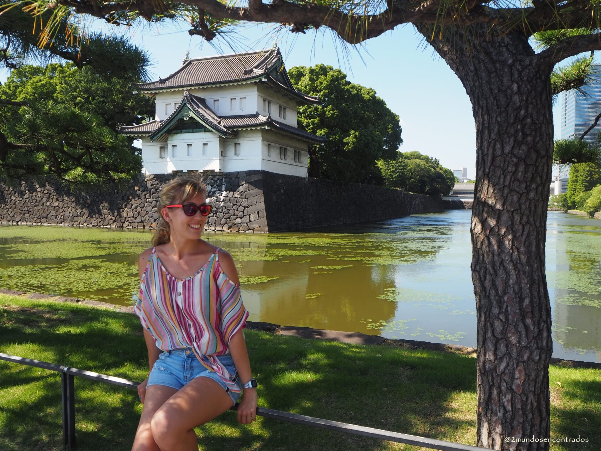 Guía de Tokio en 5 días
