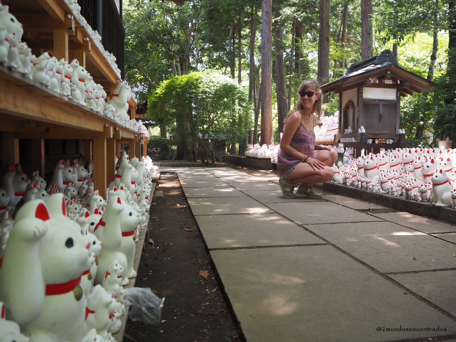 Cientos de figuras de gatos maneki-neko alineadas en el templo Gotokuji en Tokio