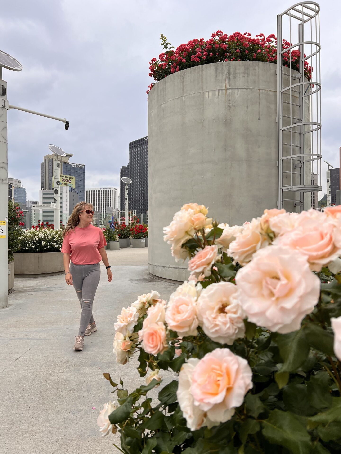 Persona paseando entre rosas y estructuras urbanas en Seoullo 7017 Skygarden, Seúl. - Qué ver en Seúl en 4 días