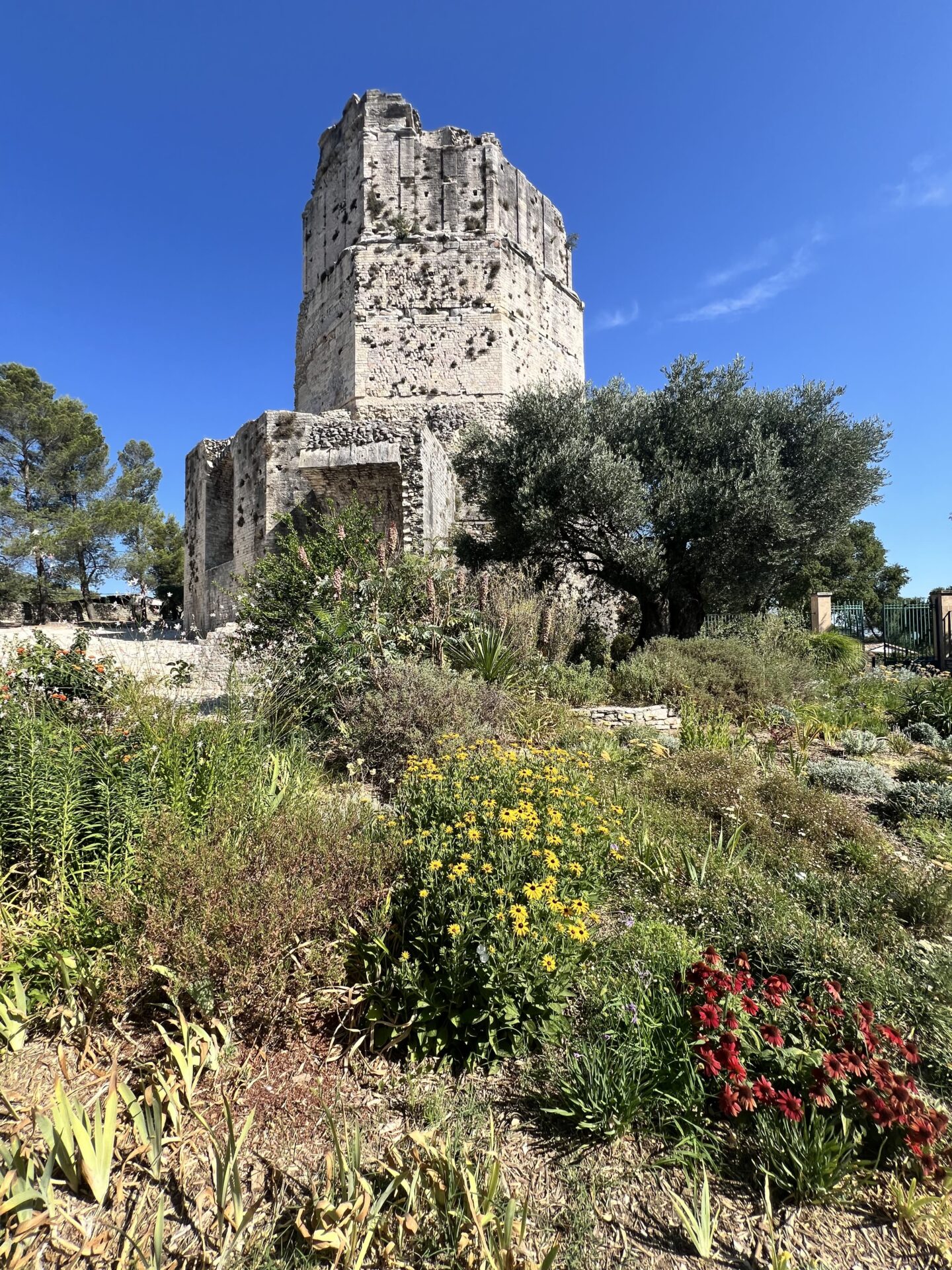 La Torre Magne, antiguo monumento romano situado en lo alto de los Jardines de la Fontaine de Nimes.