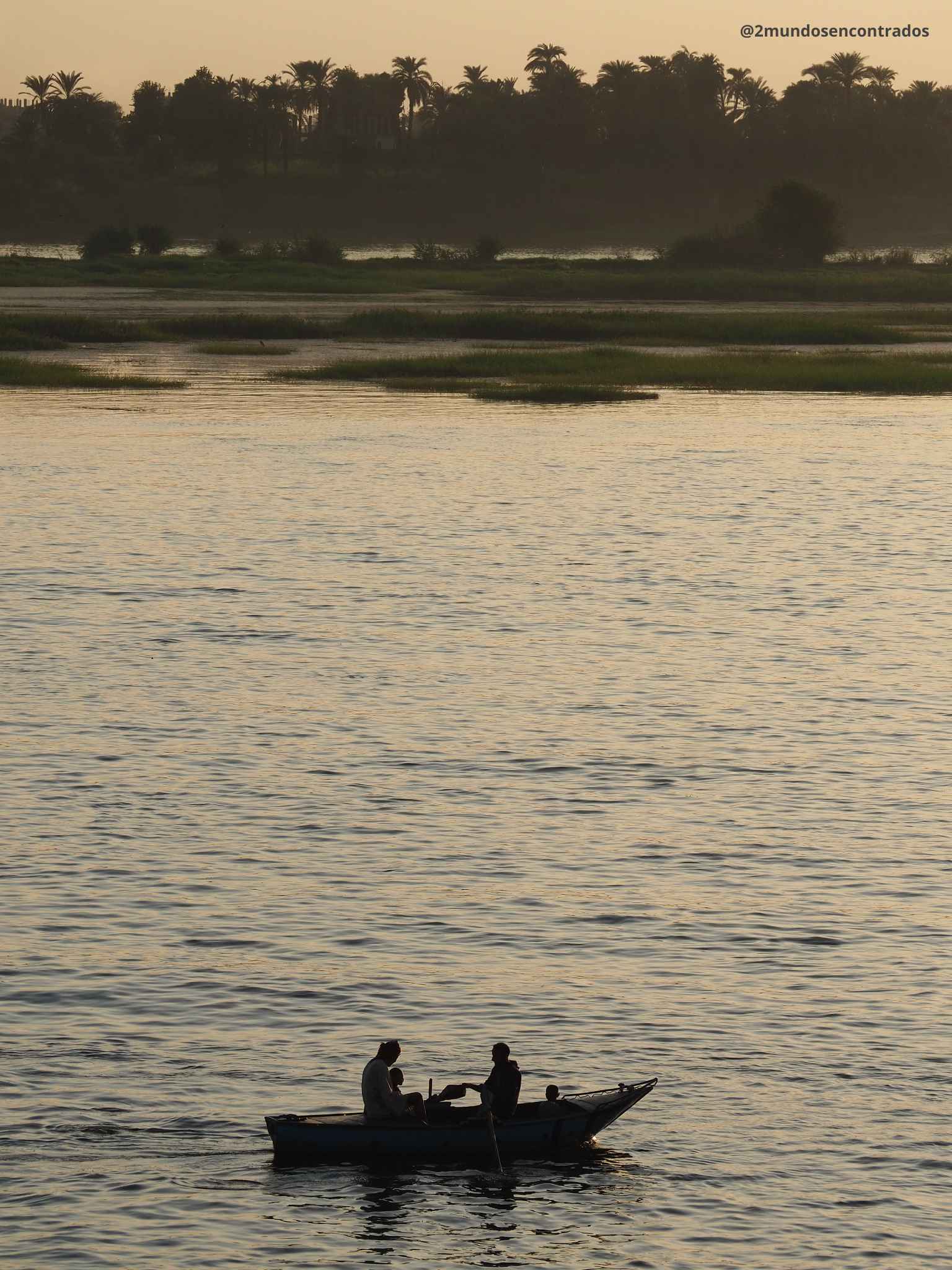 Barca tradicional navegando por el río Nilo al atardecer, rodeada de palmeras en Egipto