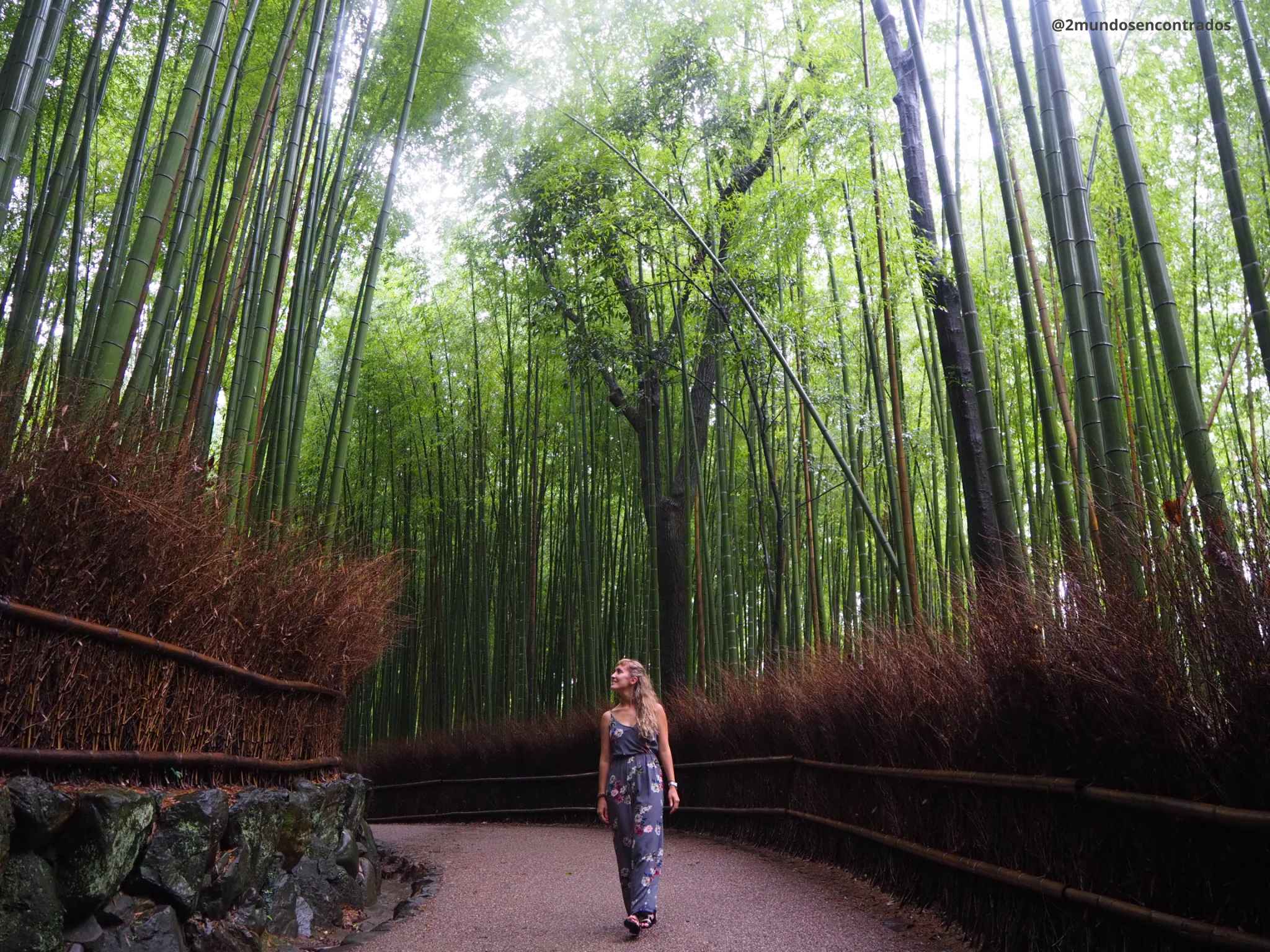 Eva caminando por el Bosque de Bambú de Arashiyama, uno de los lugares más emblemáticos que ver en Kioto, Japón.