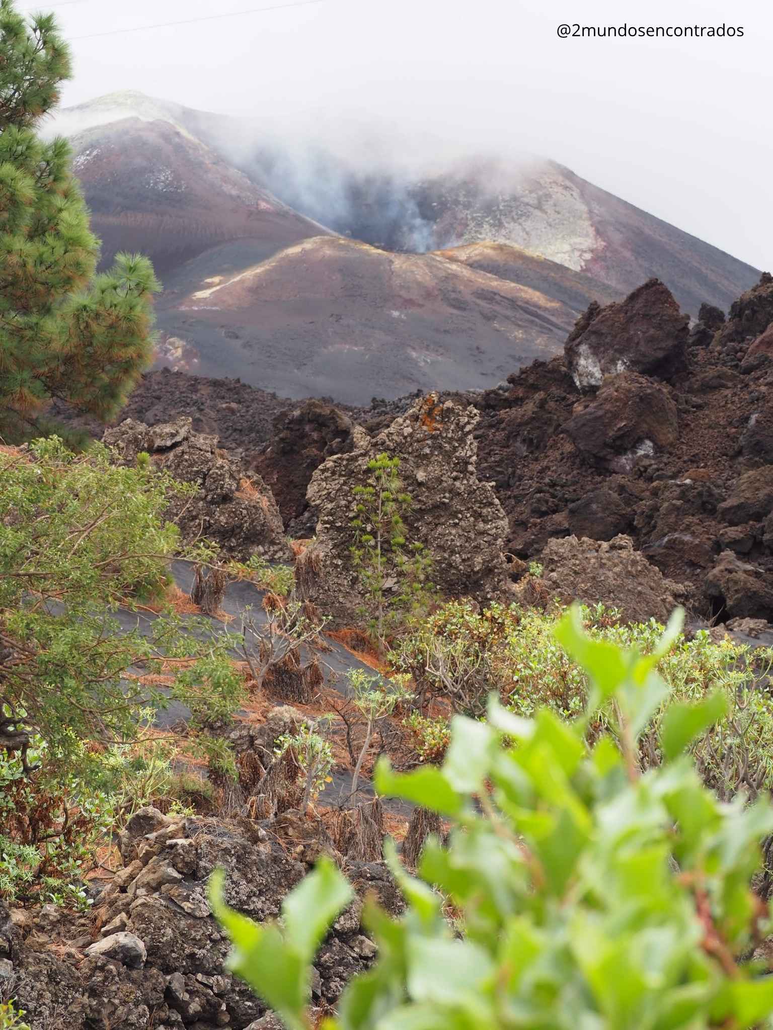 Vista del cono del volcán con fumarolas y campo de lavas negras rodeado de vegetación en La Palma.
