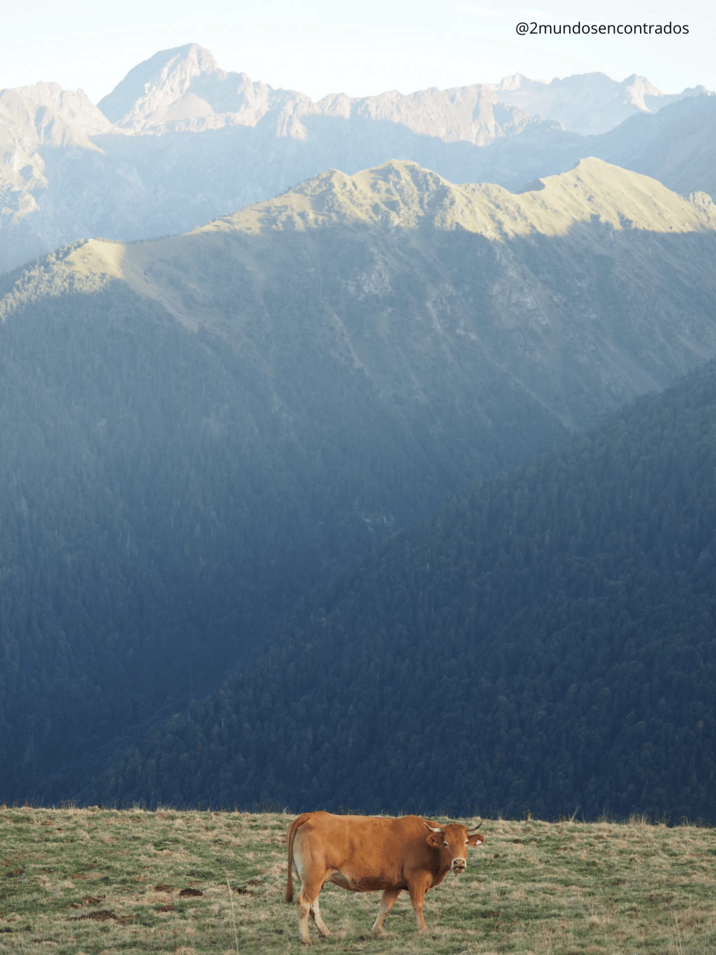 No te pierdas Superbagnères si visitas Bagnères-de-Luchon