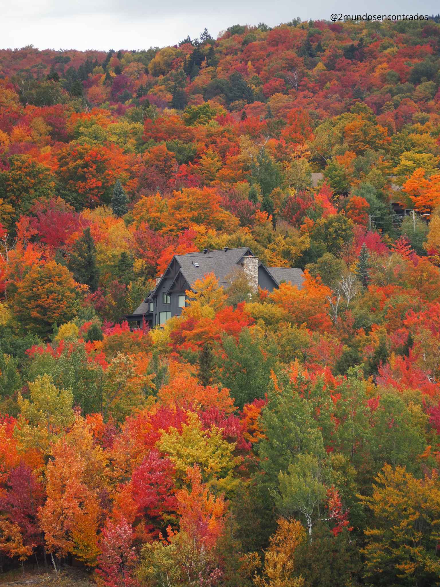 Cabaña rodeada de un frondoso bosque con intensos colores de otoño en Mont Tremblant.
