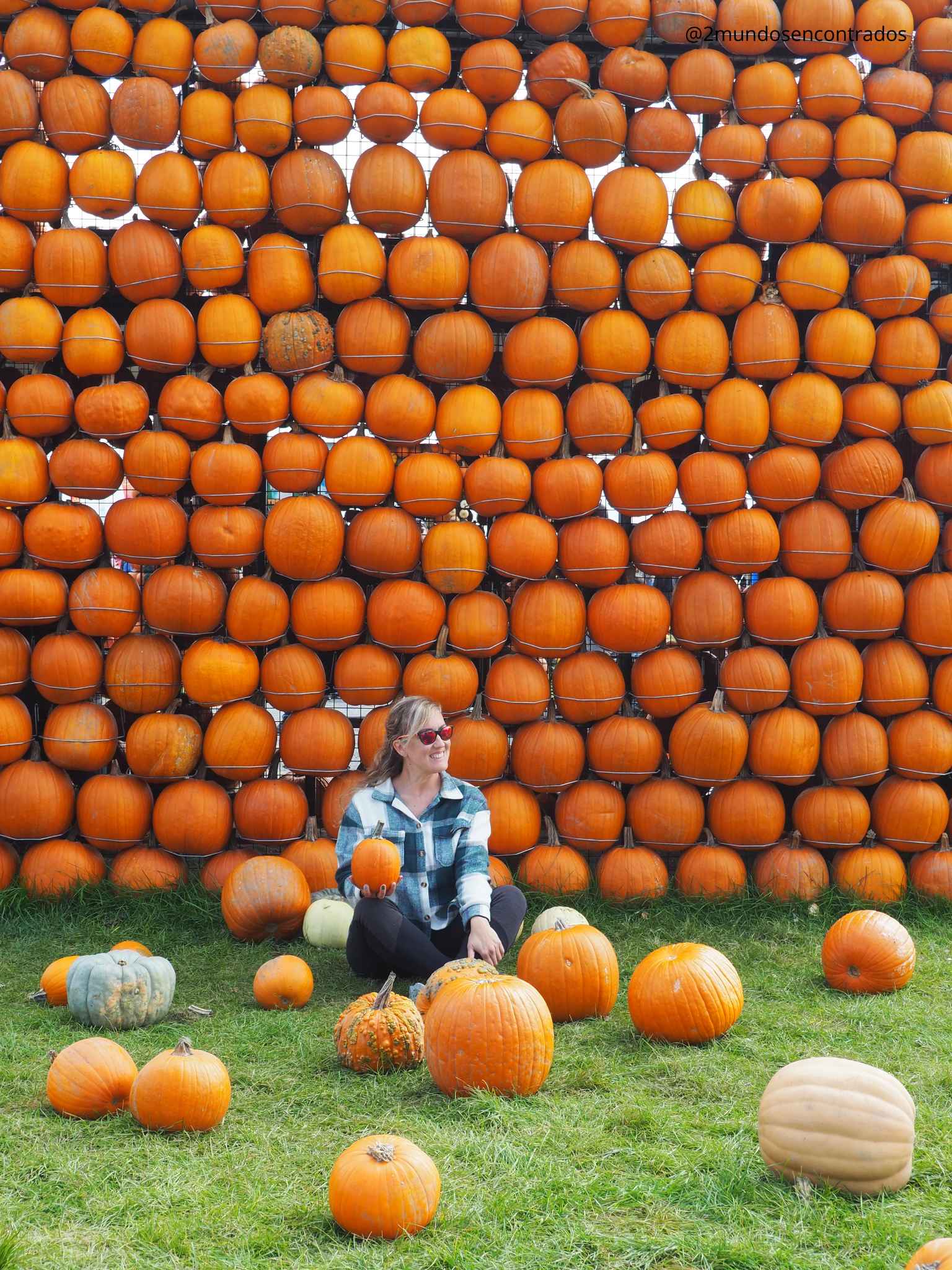 Qué ver en Québec en 10 días. Eva sentada en la hierba sosteniendo una calabaza frente a un muro repleto de calabazas en Citrouilleville.