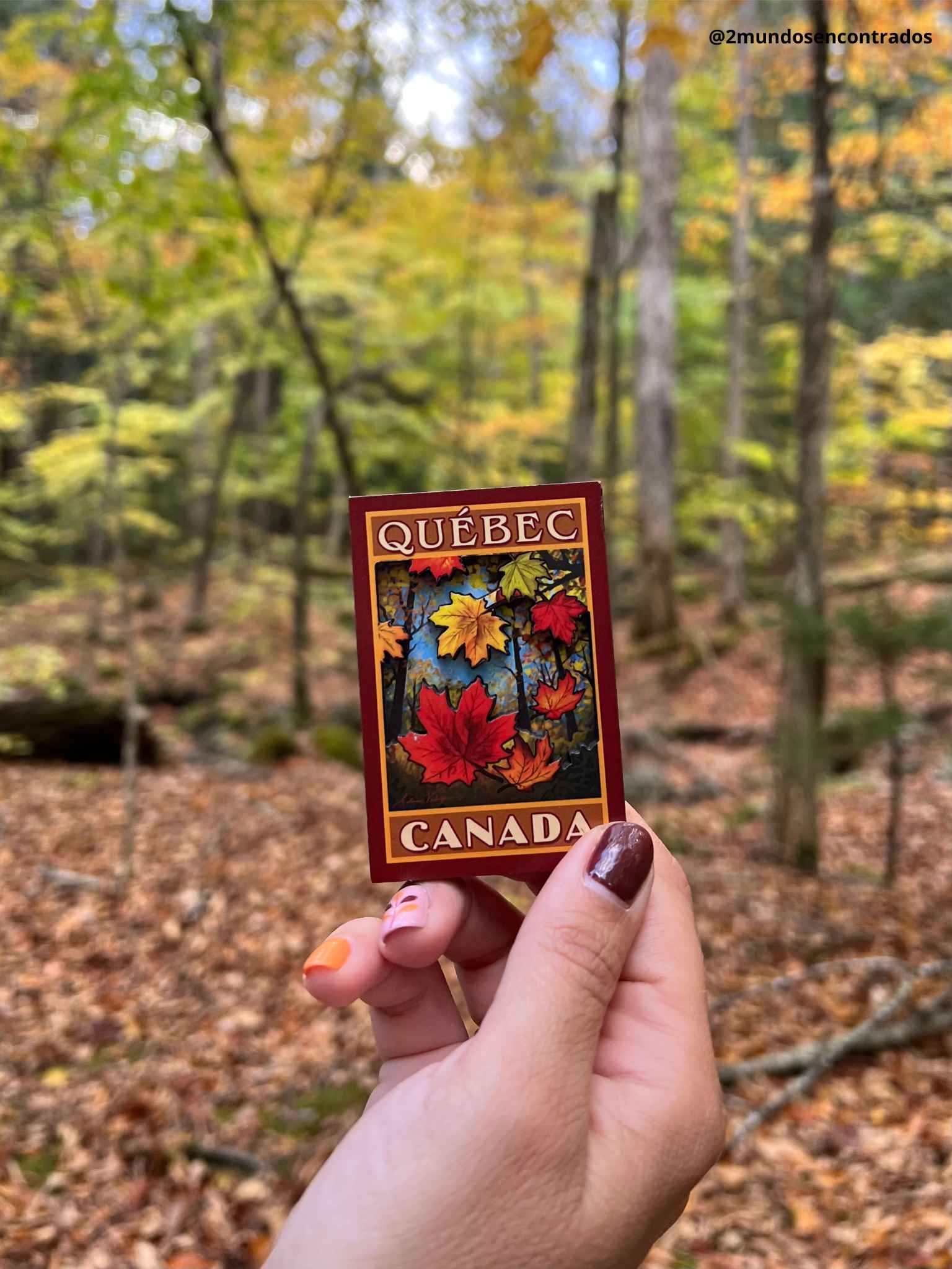 Mano sosteniendo un recuerdo de Québec Canadá rodeada de bosque otoñal.